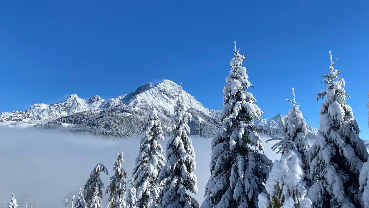 Chalet Kleinbergsonne 필즈모스 외부 사진