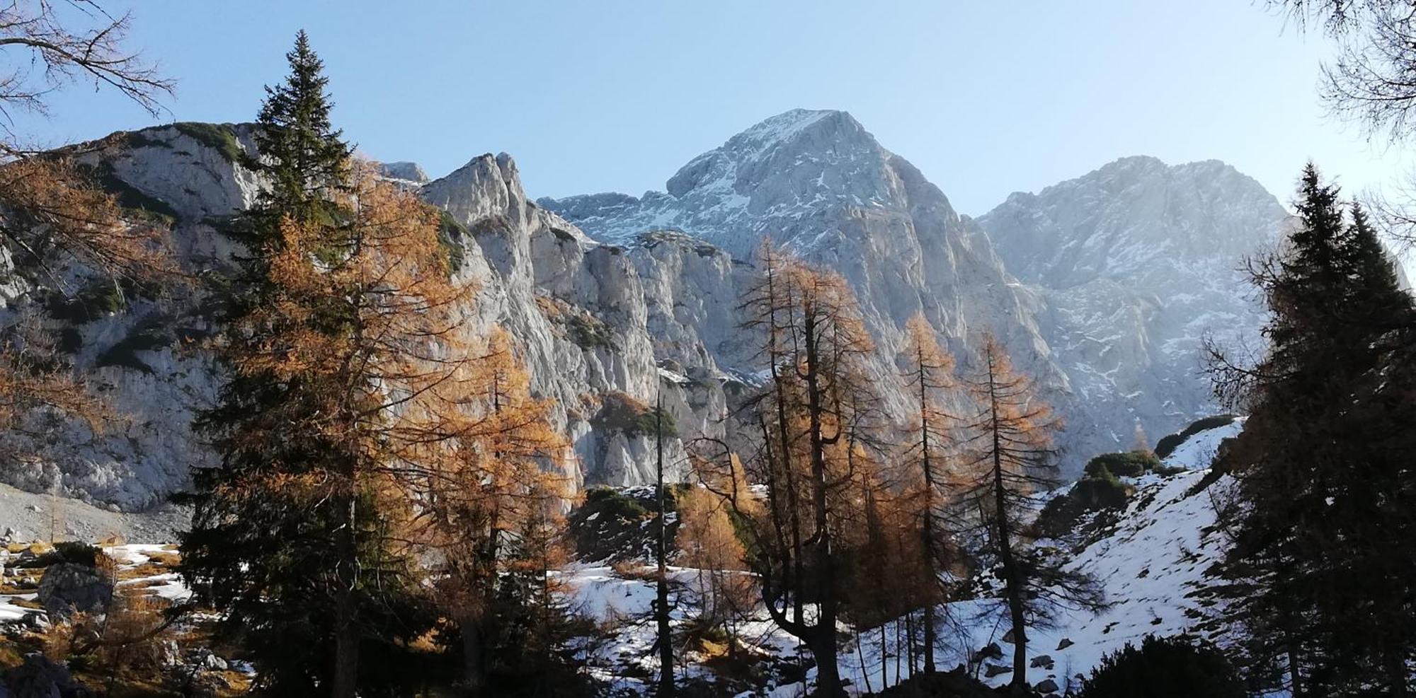 Chalet Kleinbergsonne 필즈모스 외부 사진